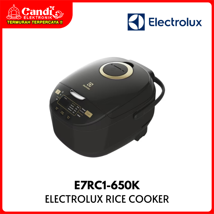 Electrolux Rice Cooker